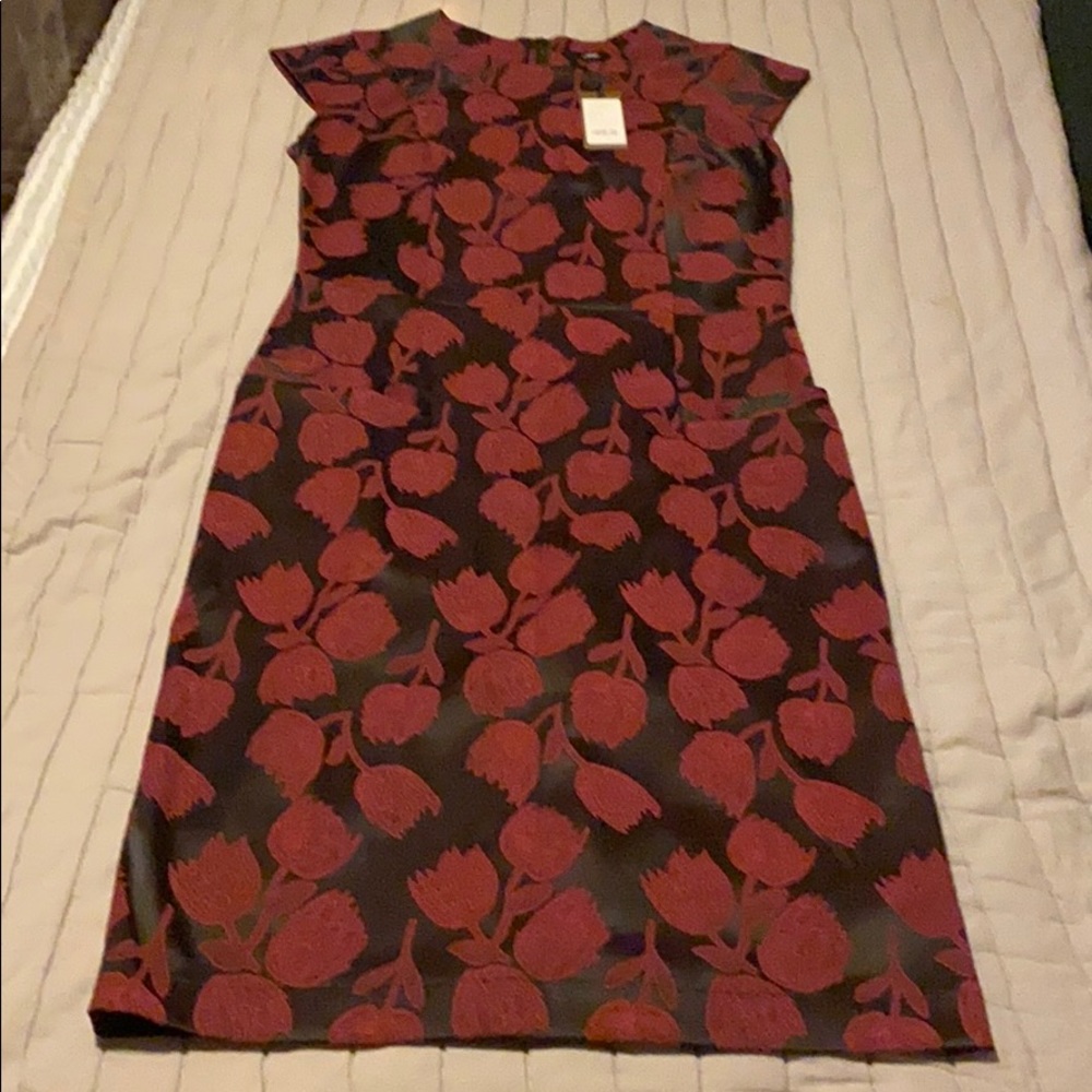 NWT JEt knee length dress